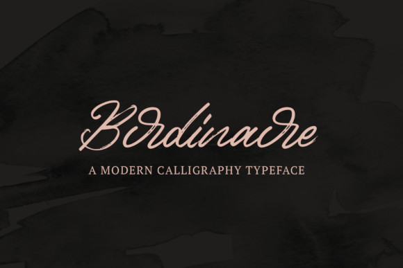 Birdinaire: A Vintage Script Font for Editorial Elegance